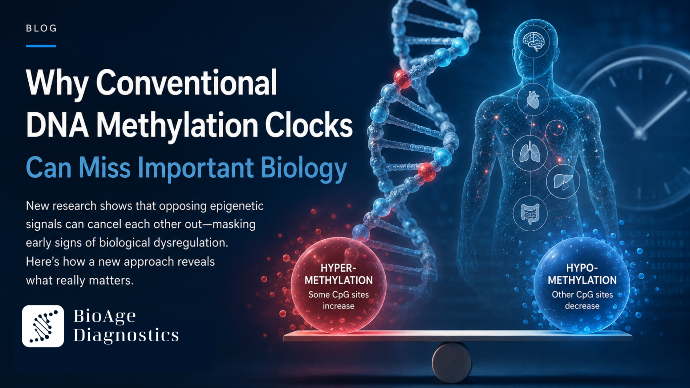 Why Conventional DNA Methylation Clocks Can Miss Important Biology