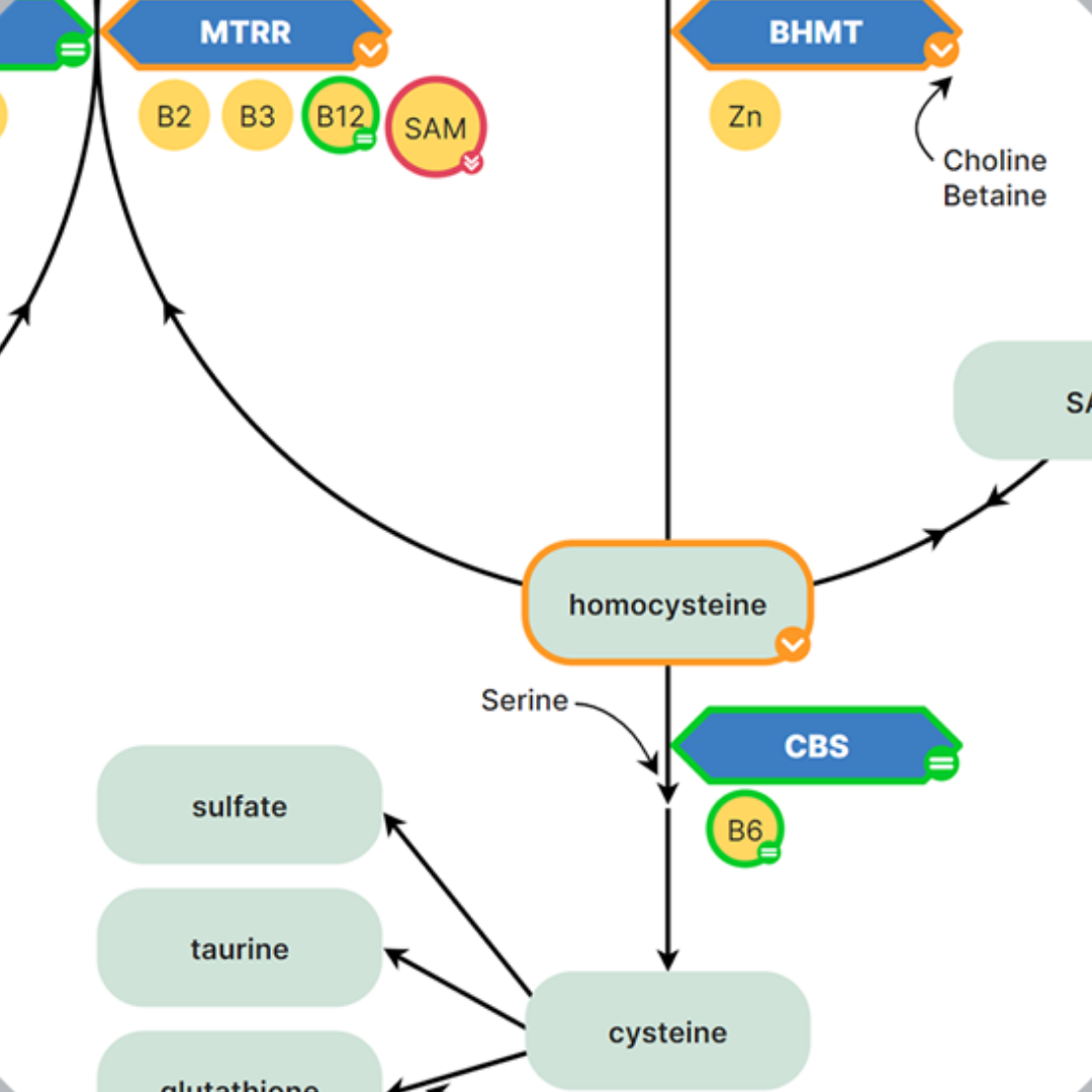Pharmacogenetic DNA test explained: Part II