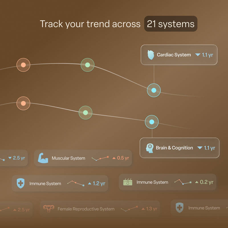 Track your progress