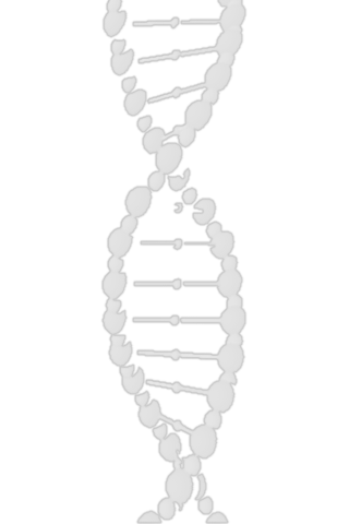 DNA Helix