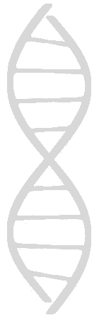 DNA Helix