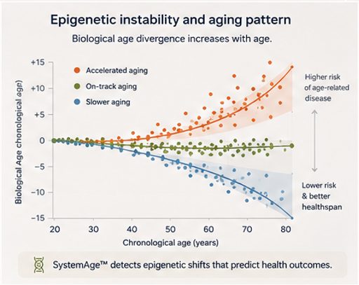 Graph: epigenetic instability and ageing pattern