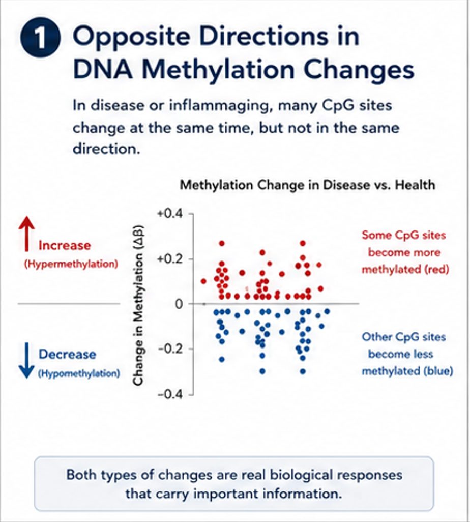 Opposite directions in DNA methylation changes