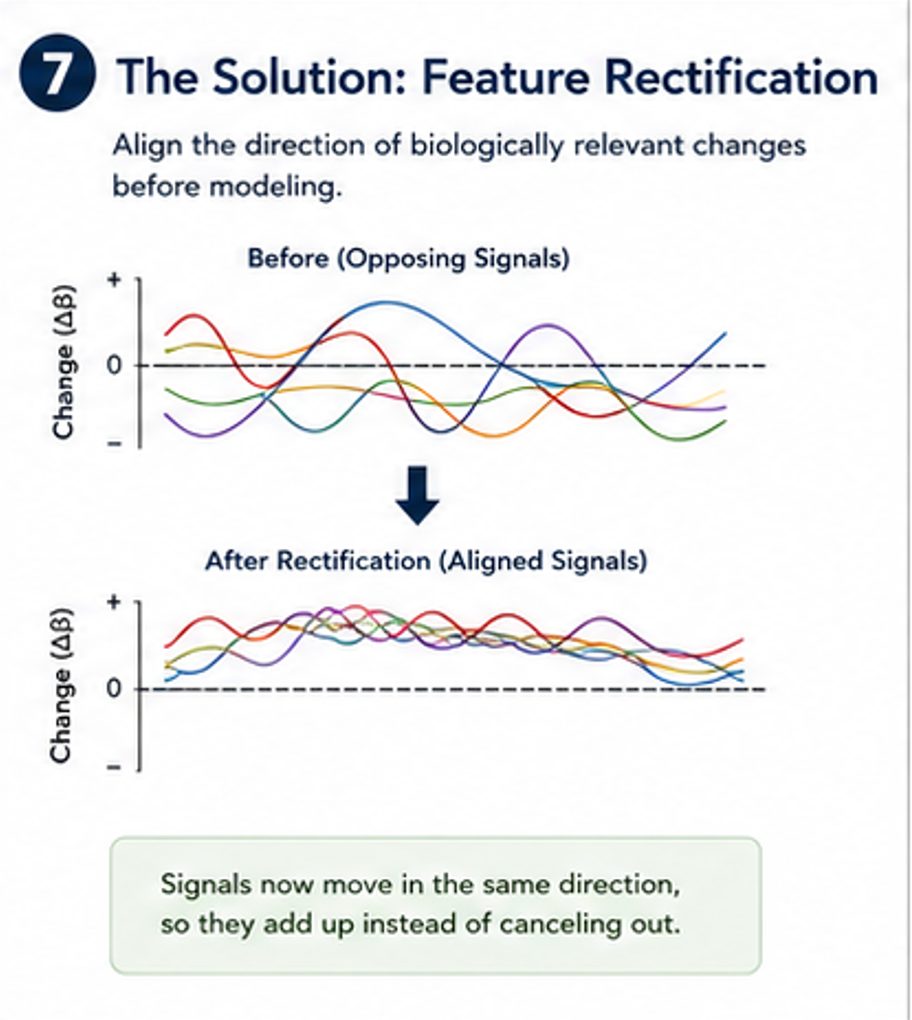 Solution: feature rectification