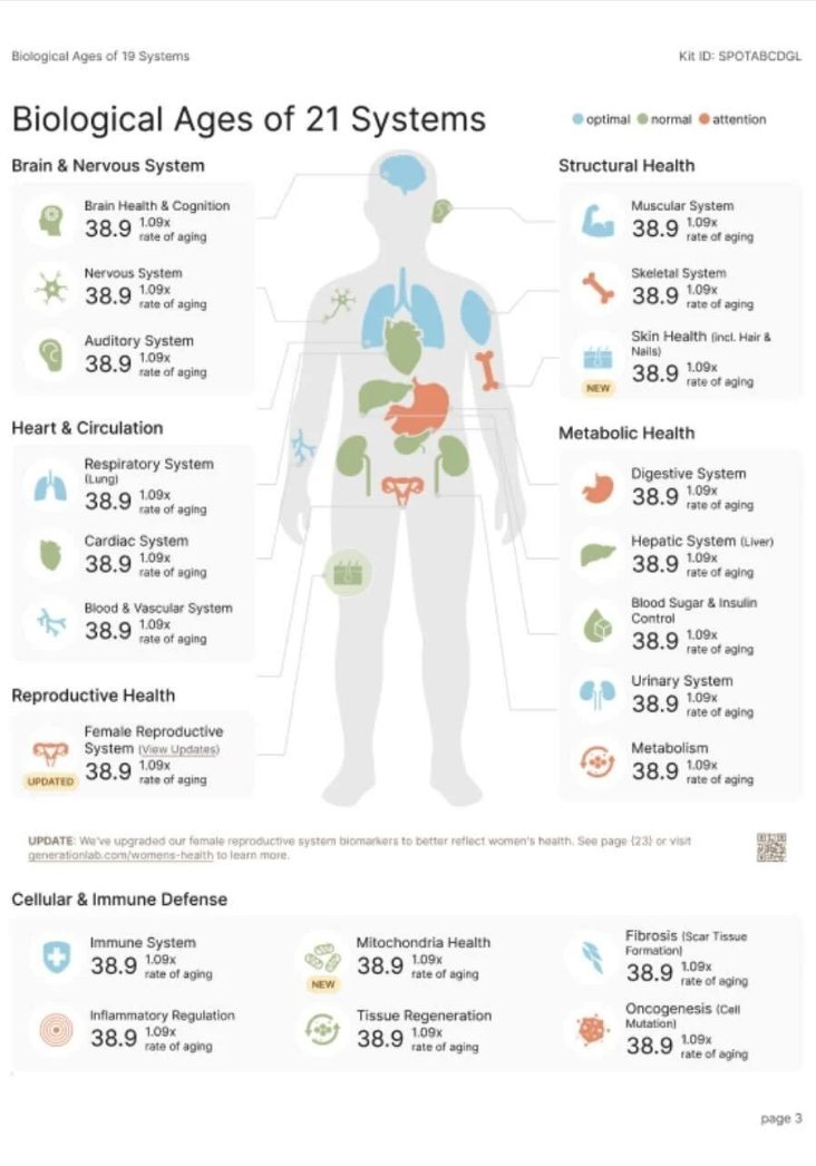 SystemAge body systems and organs