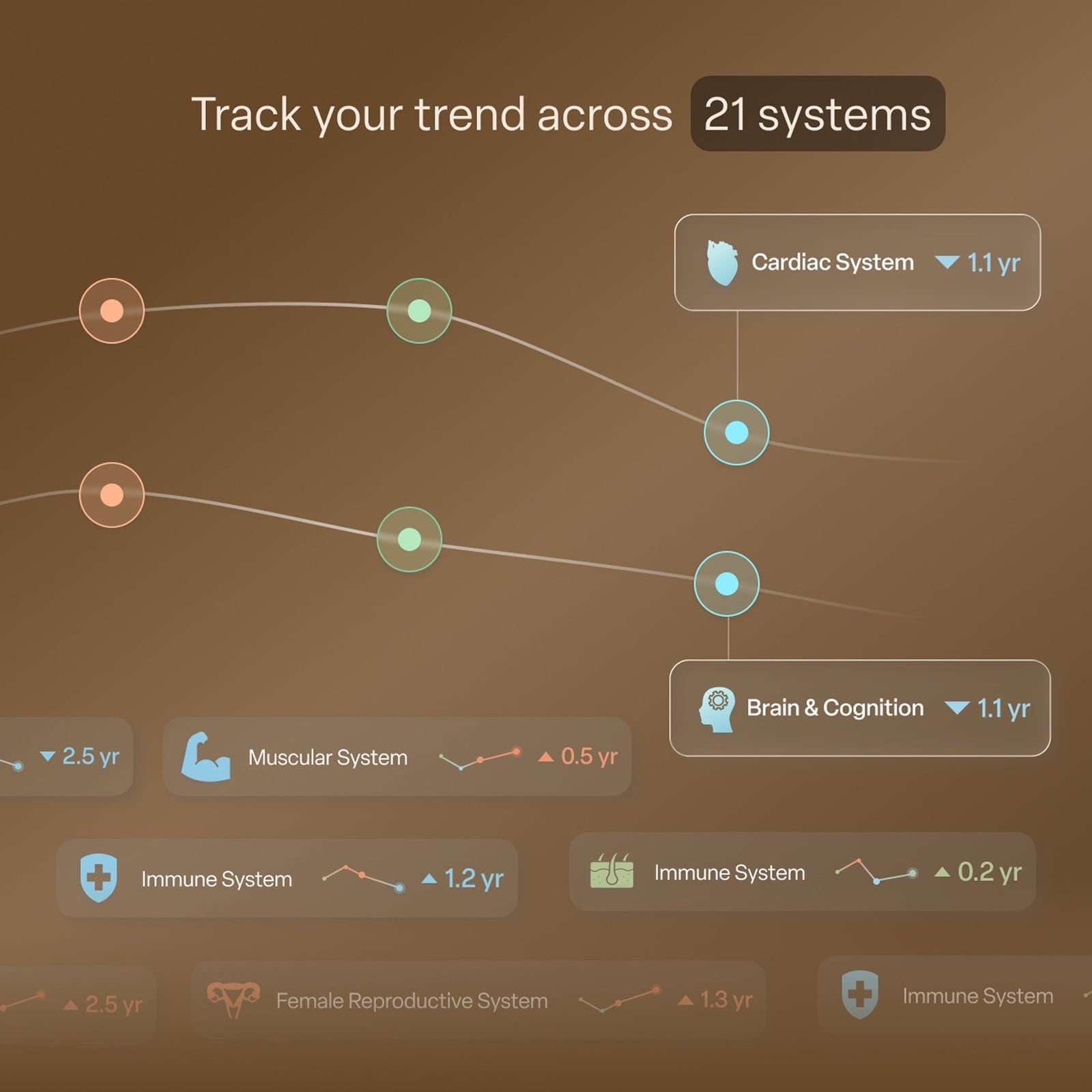 Biological age tracked across body systems over time, one line per system.